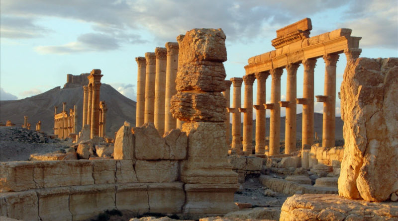 palmyra