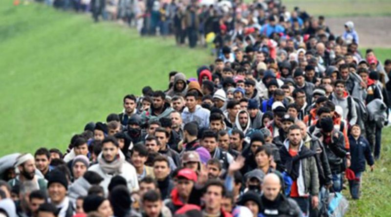 migranti