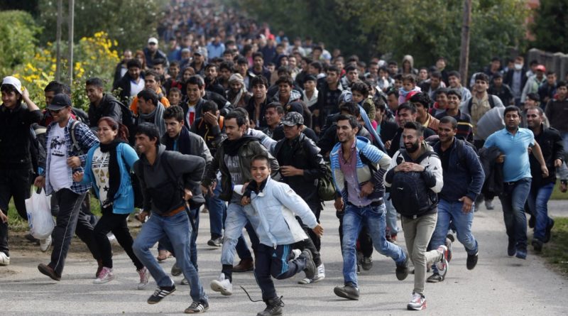 migranti