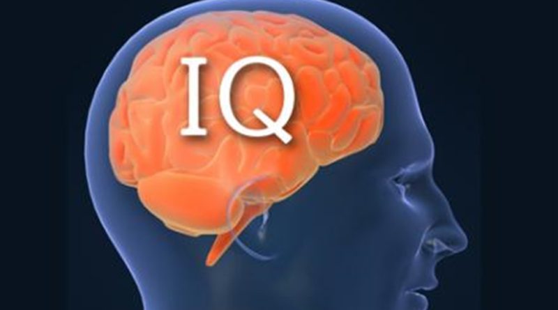 IQ
