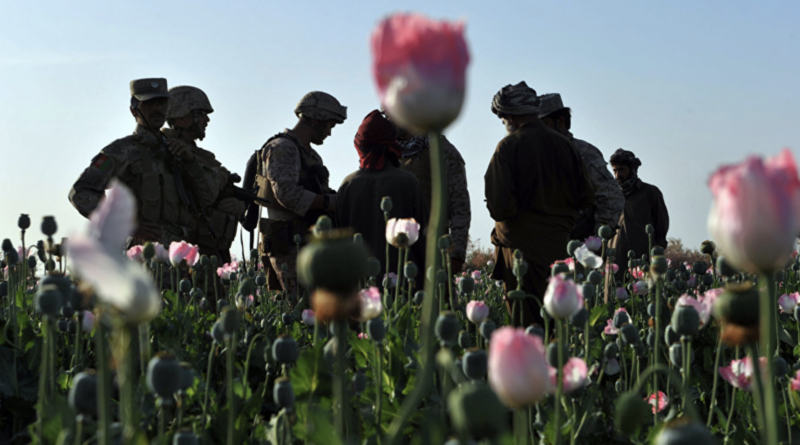 afghánistán