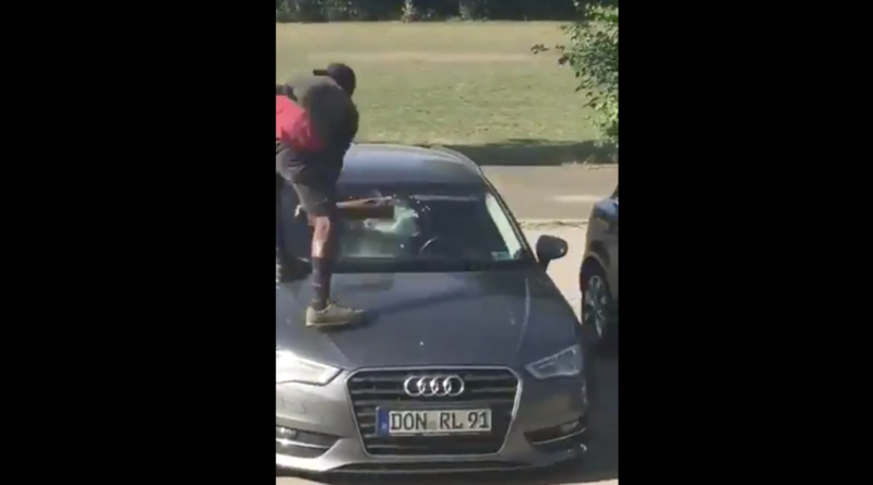 migranti