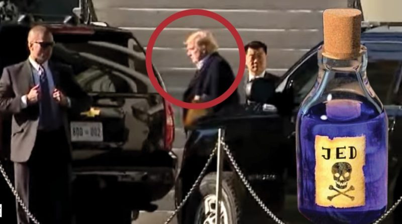 trump jed
