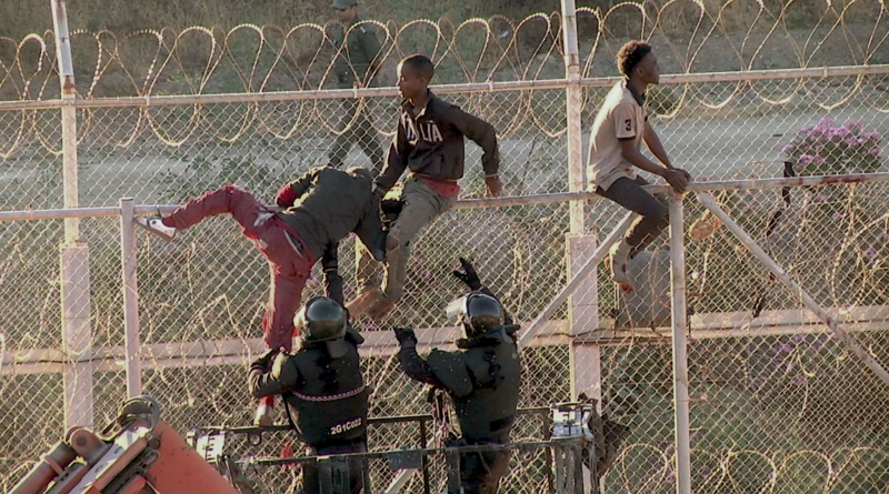 migranti Španělsko