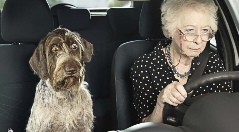 dog granny