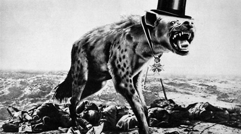 Polsko hyena Evropy