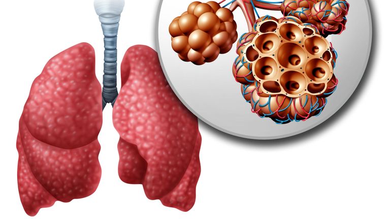 skynews alveoli covid 19 coronavirus 4936059