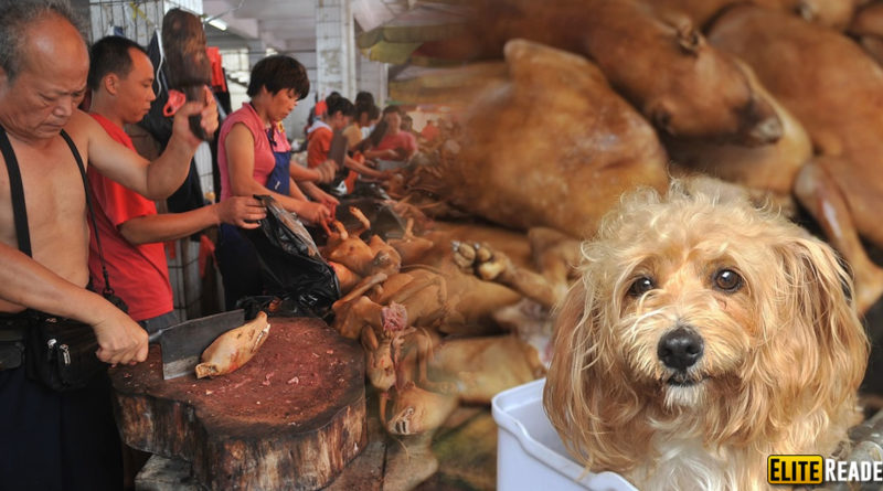 yulin festival china