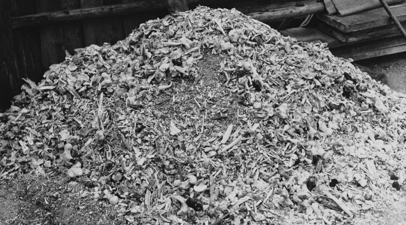 Buchenwald