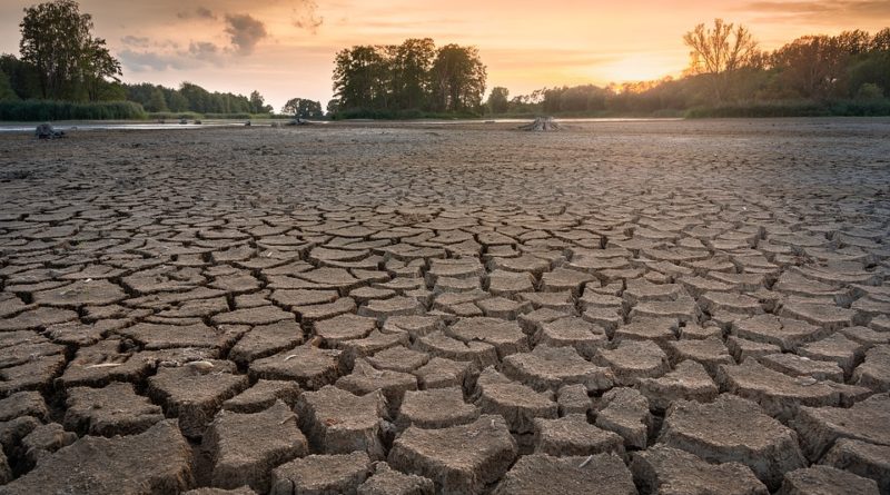 drought 3618653 960 720
