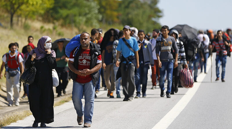 refugee