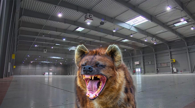 hyena1