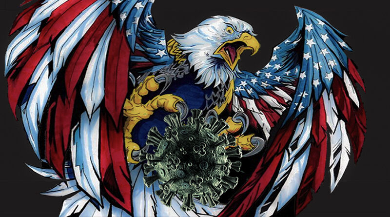 usa eagel7