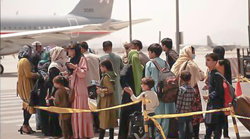 afganistan imigranti