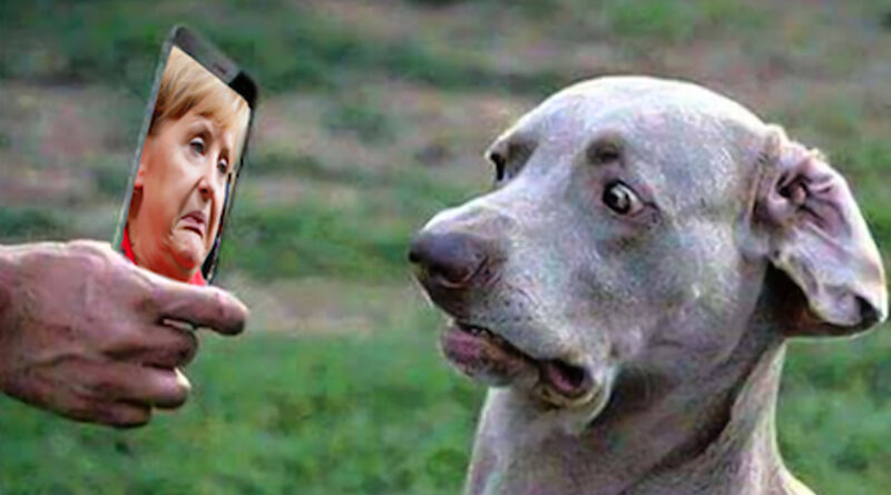 merkel
