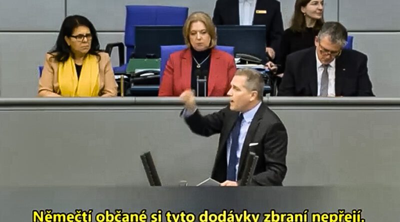 eu parlament afd