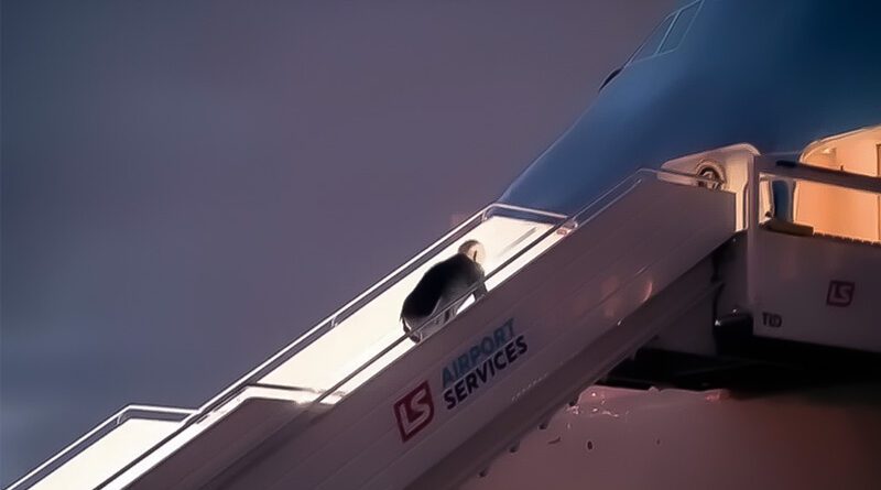 Biden Airforce One