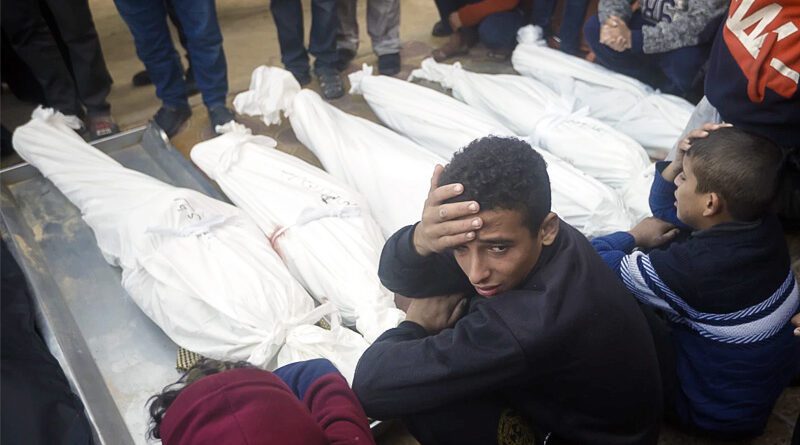 palestina 12