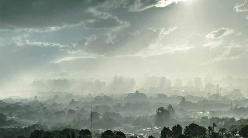 smog 1