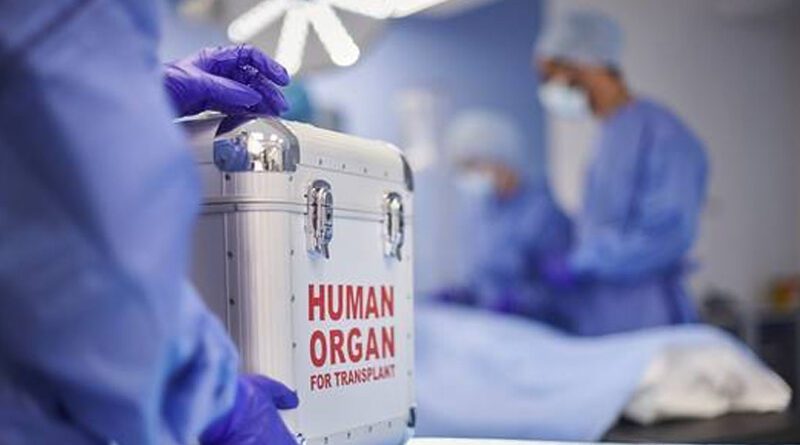 human organ