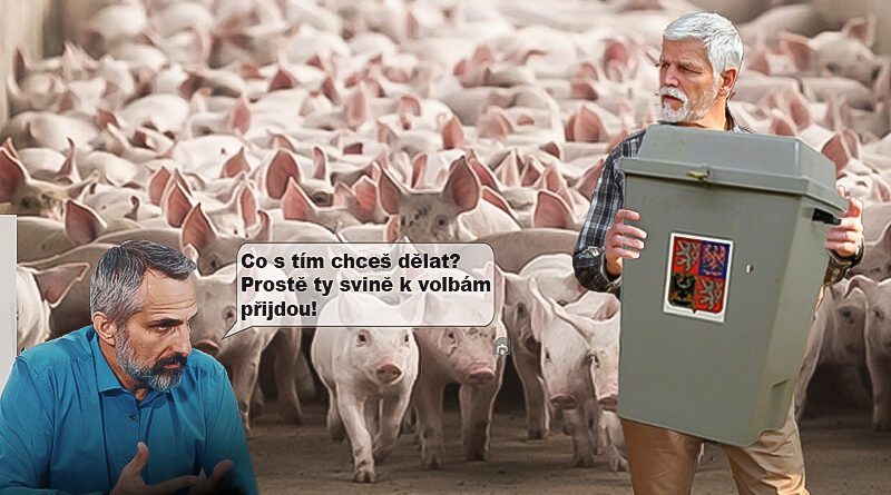volby24