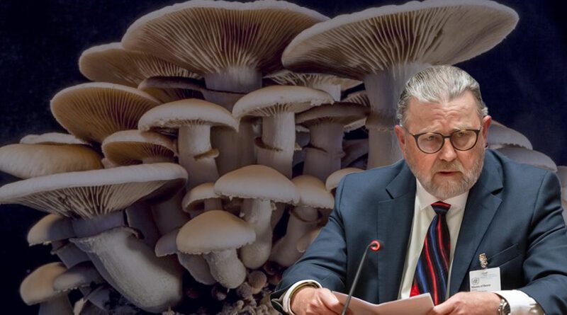 Larry Tramp houbičky