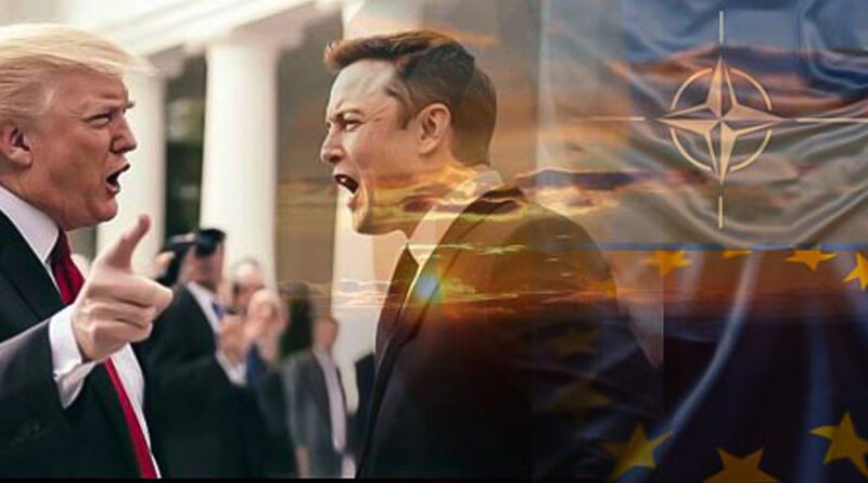 Trump Musk