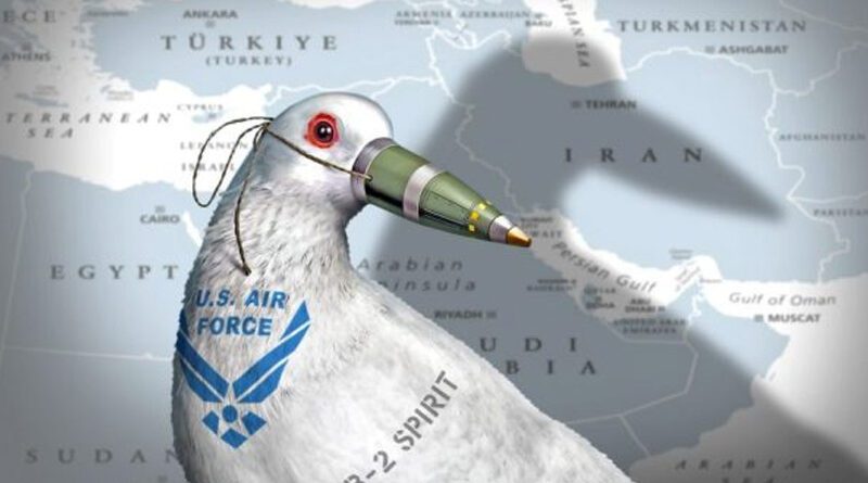 Holubice mírz Air Force