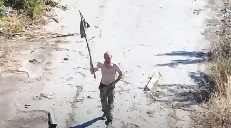 Vzdávám se