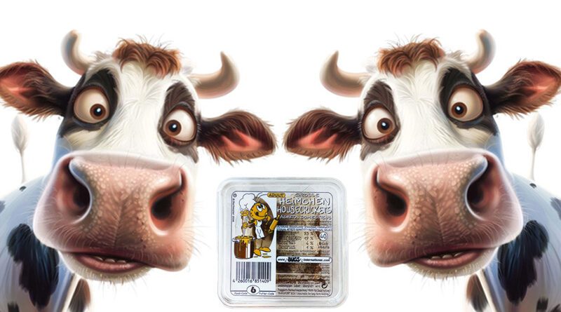 cricket&cow