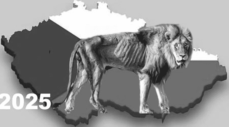 2025