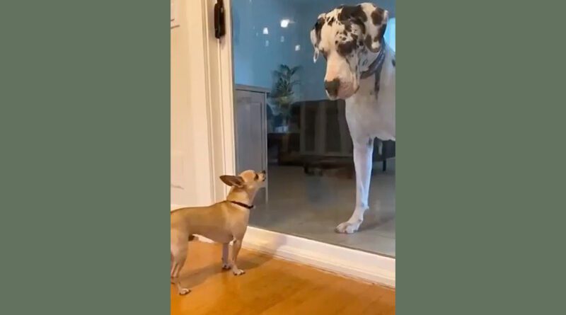 Evropa v.s. Rusko