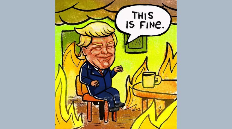 Trump copy