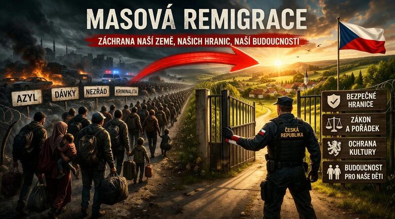 Remigrace