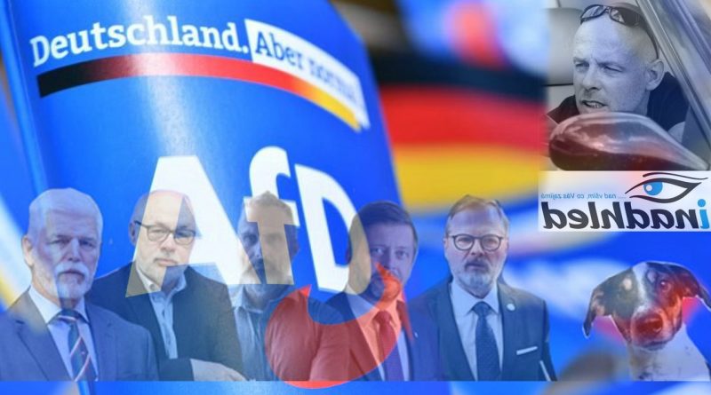 AfD Kulhavy Klauni