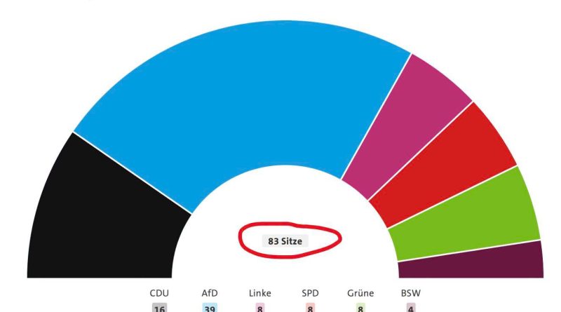 rozdělení mandátů SA 2026